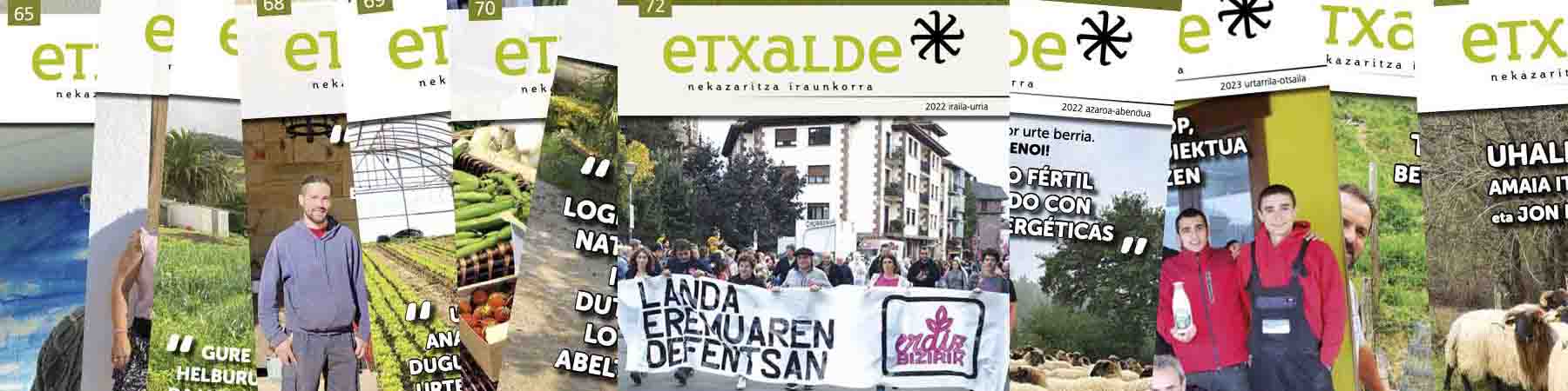 etxalde aldizkariak