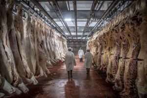 El Ministro de Agricultura ordena investigar los mataderos del Estado francés