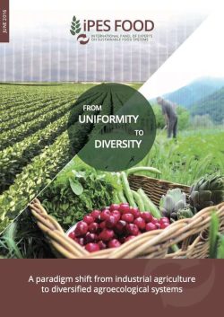 Expertos internacionales señalan la necesidad de una transición global hacia la agroecología (en inglés)