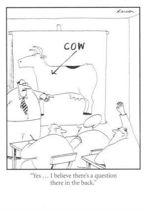 «Nuevo paquete de ayuda al sector lácteo: 2% de una verdadera compensación y más lejos aún de una solución» [Comunicado de la Coordinadora Europea de Vía Campesina]