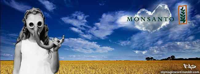 El David de la ciencia ecologista frente al Goliat transgénico