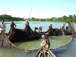 Informe sobre líneas recomendadas para una pesca sostenible, responsable y de pequeña escala (en inglés)