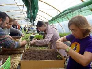 Agroecología: trabajando nuestros caminos hacia la transición (Título UPV-EHU)