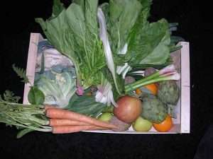 Establecer la alimentación en el centro de la Política Agraria [Etxalde 21]