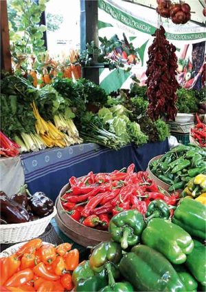 Ecológico vs. sostenible [Xandra Romero | 7ka]