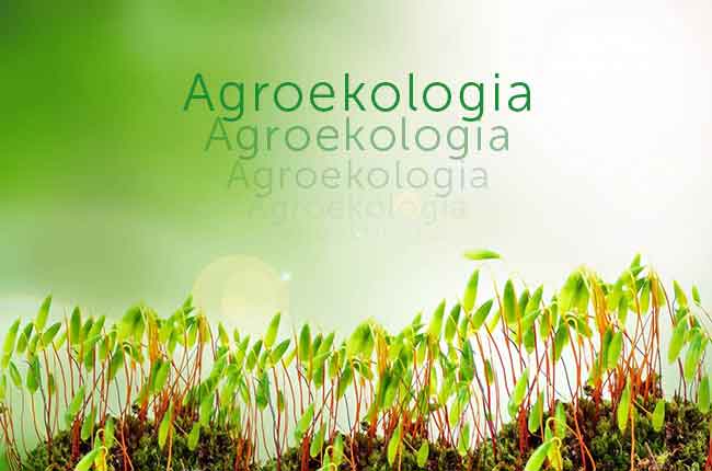 agroekologia