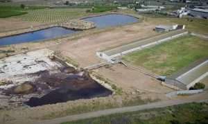 Txerri-industriaren ingurumen-inpaktua [Animalien Berdintasunerako Bideoa]