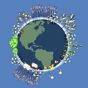 Haziak erresistentzian (GRAIN bideoa)