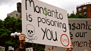 Aro berri baterantz: Tribunal Monsanto