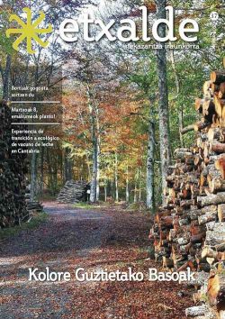 Etxalde 37 (Febrero 2018)