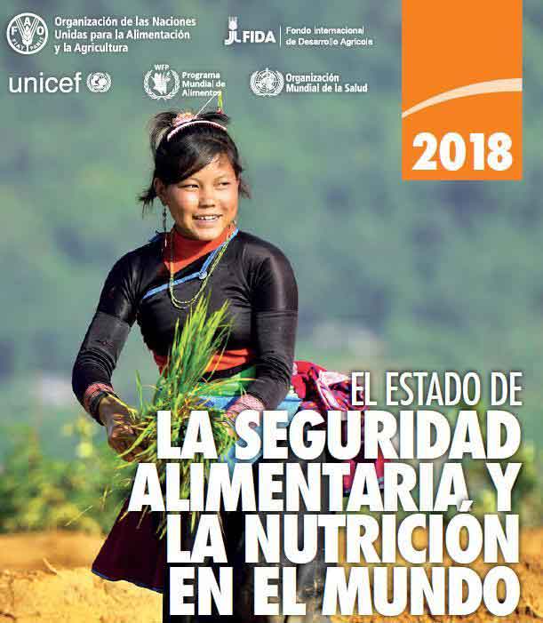 Documento de Etxalde: “La OMC no es compatible con la Soberanía Alimentaria”