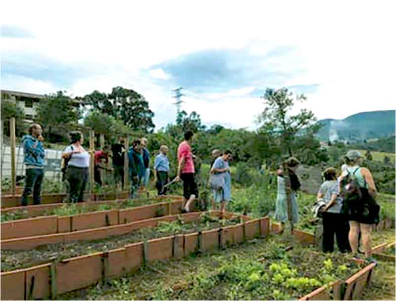 Proyecto sembrar comunidad desde soberania alimentaria