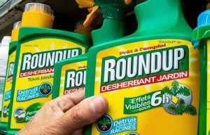 EBk abendua arte atzeratu du glifosatoari buruzko erabakia, herrialdeen arteko banaketa dela eta