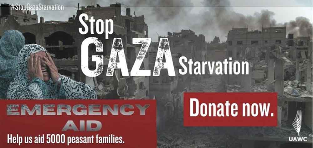 Ayuda urgente a Gaza. Dona ahora!