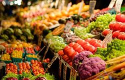 FAOren txostena: “Nekazaritzaren eta elikaduraren munduko egoera”