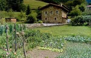 Europako Batzordeak epe luzerako ikuspegia aurkeztu du EBko landa eremuetarako