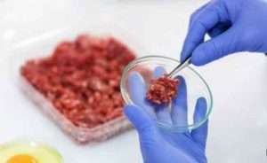 Siguen aumentando las inversiones en la alimentación sintética (Editorial Etxalde 78)