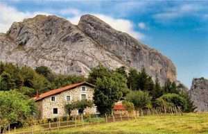 Bizkaiko Aldundiak mendi-nekazaritzako nekazaritza-sektoreari laguntzen deialdia onartu du