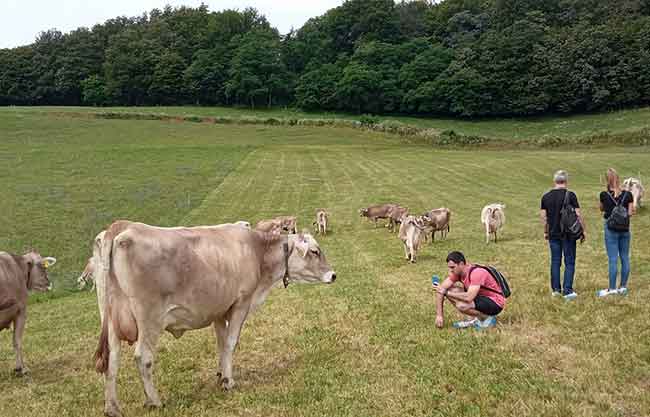 El sector del vacuno de leche europeo visita Euskadi buscando las mejores técnicas de desarrollo sostenible