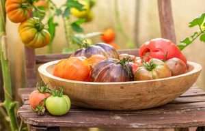 Marta Barba: “El tomate hidropónico se ha puesto por falta de tierra y la falta de tierra se debe al monocultivo”