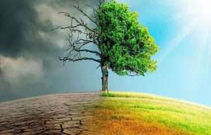 Klima aldaketak nekazari txikien % 80ri eragingo die eta landu daitekeen lurra murriztuko du