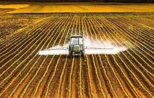 EBko elikagaien erdiek plagizida hondakinak dituzte