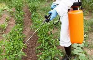 La UE «incumple sistemáticamente» la ley de tóxicos, denuncia la Defensora del Pueblo Europeo