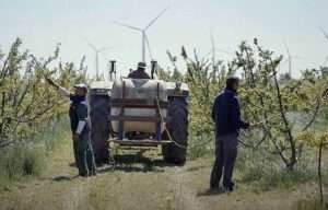 Vídeo: «Revivir el Campo»