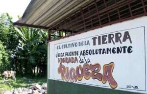 Vídeo: «La agroecología en Cuba: del campo a la mesa»