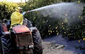 Vídeo: «La caravana libre de tóxicos»