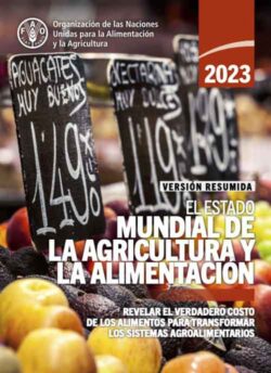 Informe de la ONU: «Las cifras del hambre se mantienen persistentemente altas durante tres años consecutivos»