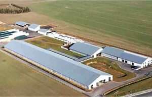 La UE aprueba la legislación para reducir las emisiones contaminantes de la industria y la ganadería a gran escala