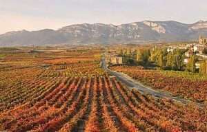 ABRA denuncia que la sentencia contra Viñedos de Álava es «totalmente irregular»