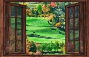 Observando la naturaleza desde la ventana de casa