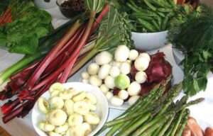 Nace ‘OH-FINE’, una red europea de intercambio de conocimiento sobre agricultura ecológica