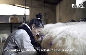 Elecciones agrarias en Iparralde: Helene Rolland (Coopérative Agricole Mendikoa)