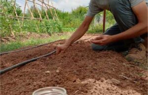 El Ayuntamiento de Gasteiz se adhiere a la Red de Municipios por la Agroecología